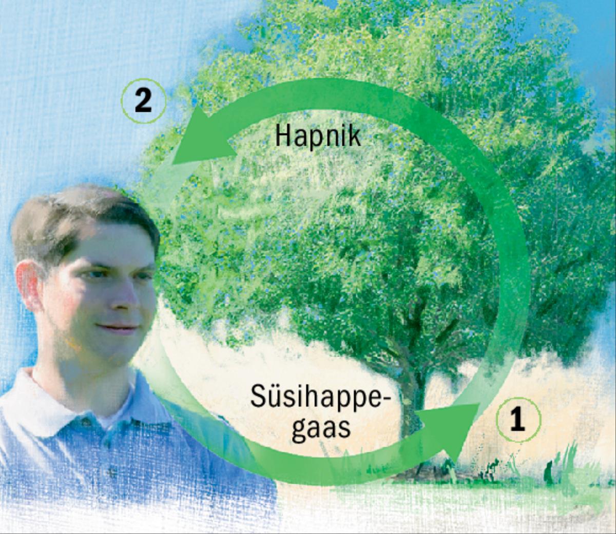 Süsiniku- ja hapnikuringe