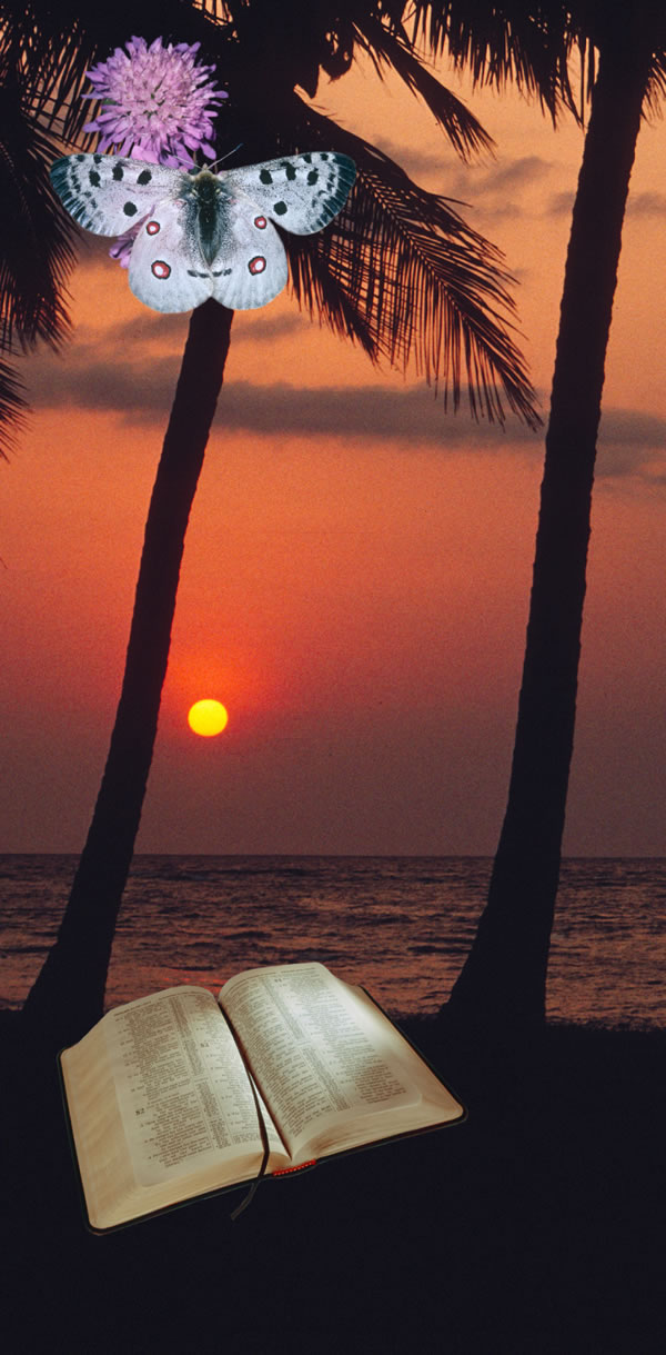 يهوه از طريق آفريده‌های خود همچنين توسط كتاب مقدس خود را بر ما آشكار می‌كند.‏