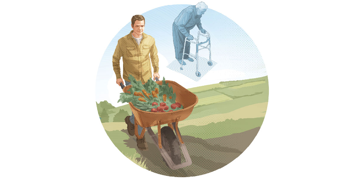 مردی که مسن بود حالا جوان شده است و با فرغونی پر از سبزیجات در حرکت است.‏ 