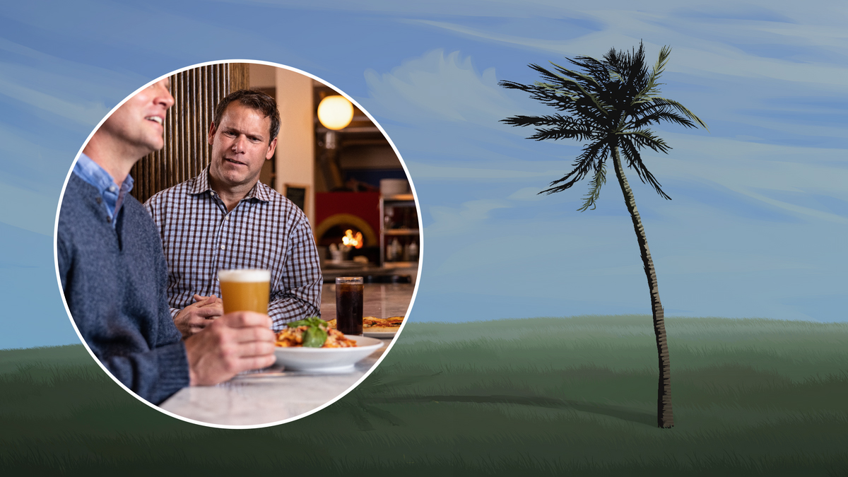 درختی که انعطاف‌پذیر است در برابر باد خم می‌شود.‏ برادر با شک به برادری دیگر که آبجو می‌خورد نگاه می‌کند.‏