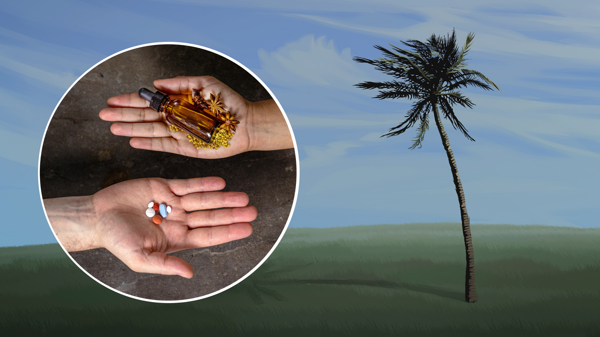 درختی که انعطاف‌پذیر است در برابر باد خم می‌شود.‏ دو نفر روش درمانی متفاوتی انتخاب می‌کنند.‏ یکی از دکتر نسخه گرفته و دیگری درمان گیاهی انتخاب کرده است.‏