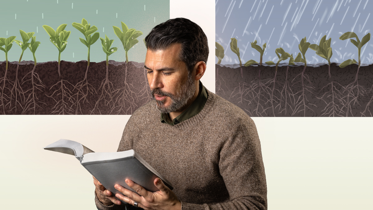 برادری کتاب مقدّس را می‌خواند.‏ ۱)‏ باران شدید سیلاب ایجاد می‌کند و به گیاهان آسیب می‌رساند.‏ ۲)‏ باران ملایم جذب زمین شده و باعث رشد گیاهان می‌شود.‏