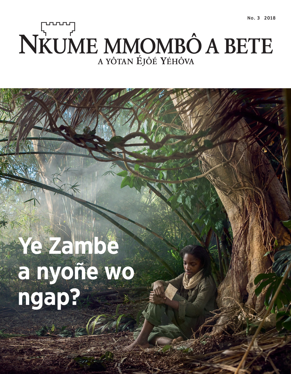 ‘Ô momo’ Nomo 3 2018.