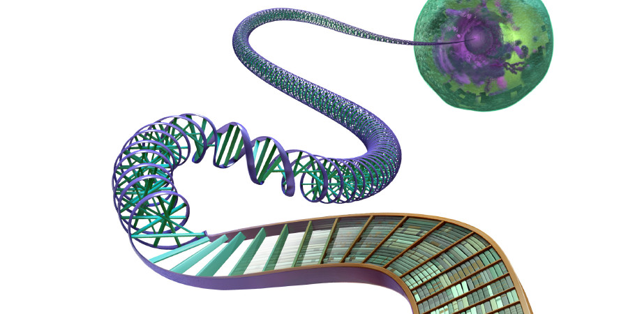iTukutuku ena noda DNA, e vaka na ivola era tuvani tu ena laibri
