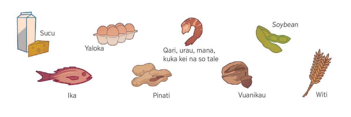 Sucu, yaloka, qari, urau, mana, kuka kei na so tale, soybean, ika, pinati, vuanikau, kei na witi