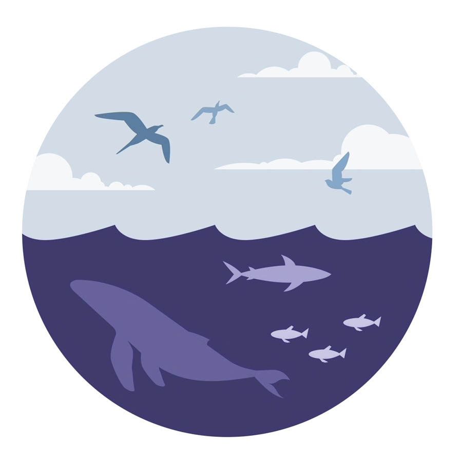 Vie aquatique et animaux volants.