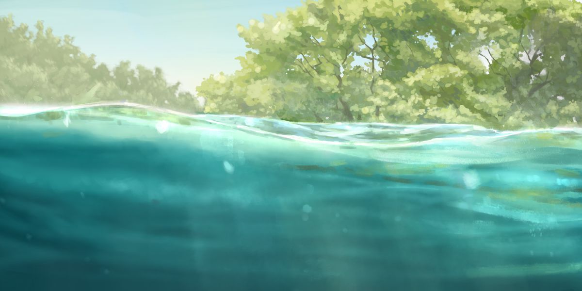 Un cours d’eau.
