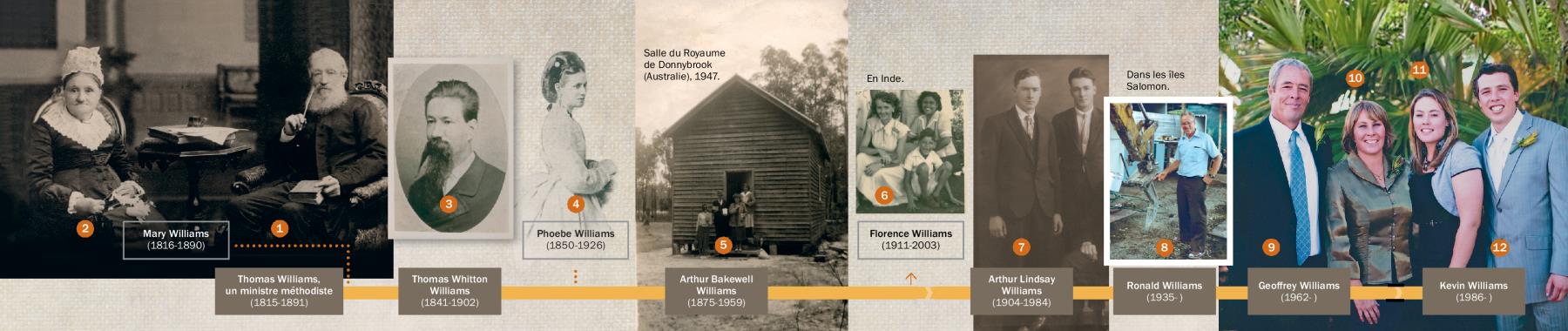 Une frise chronologique illustrant la généalogie de Kevin Williams