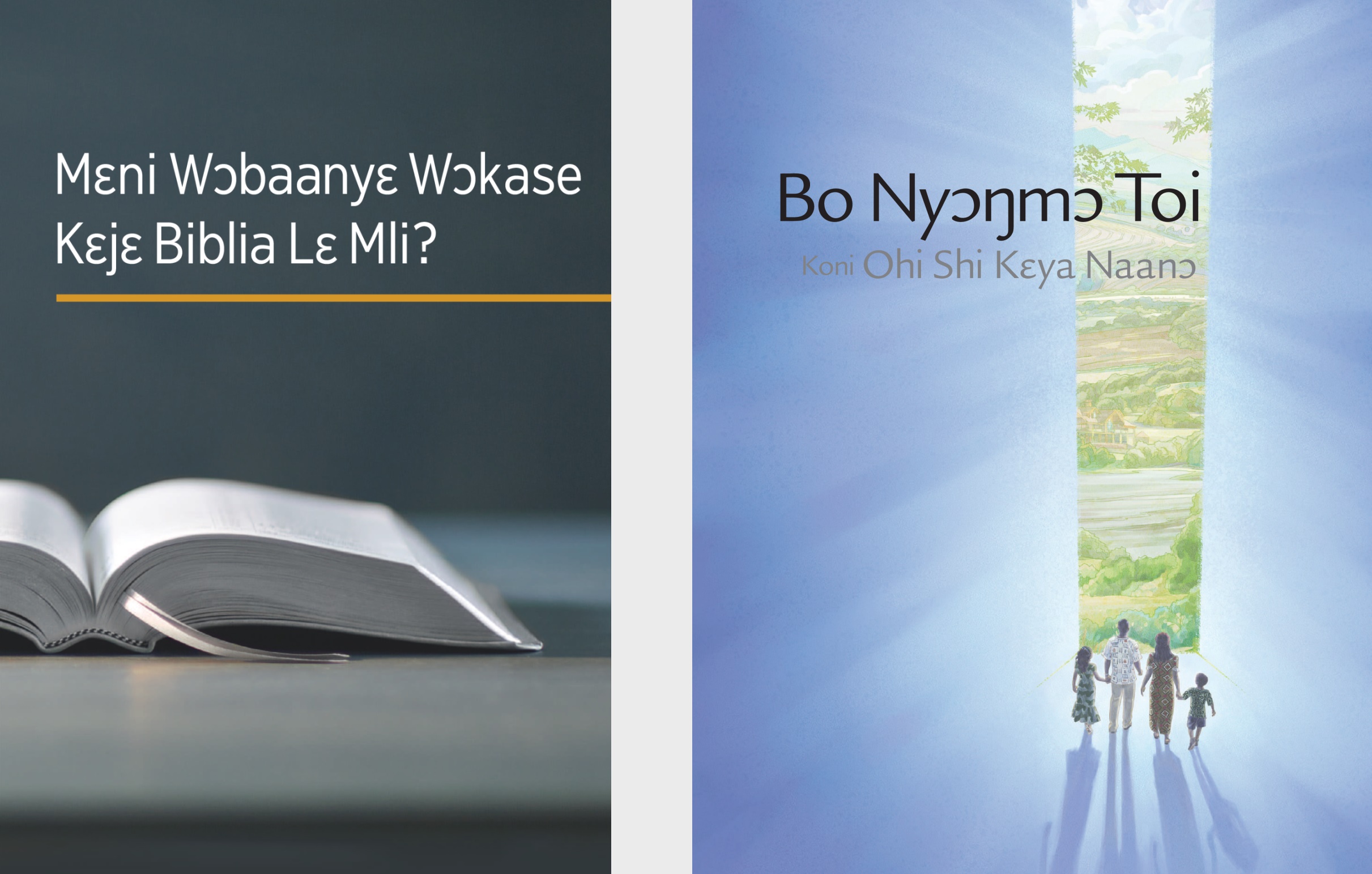 ‘Mɛni Wɔbaanyɛ Wɔkase Kɛjɛ Biblia Lɛ Mli?’ wolo lɛ. ‘Bo Nyɔŋmɔ Toi Koni Ohi Shi Kɛya Naanɔ’ broshuɔ lɛ