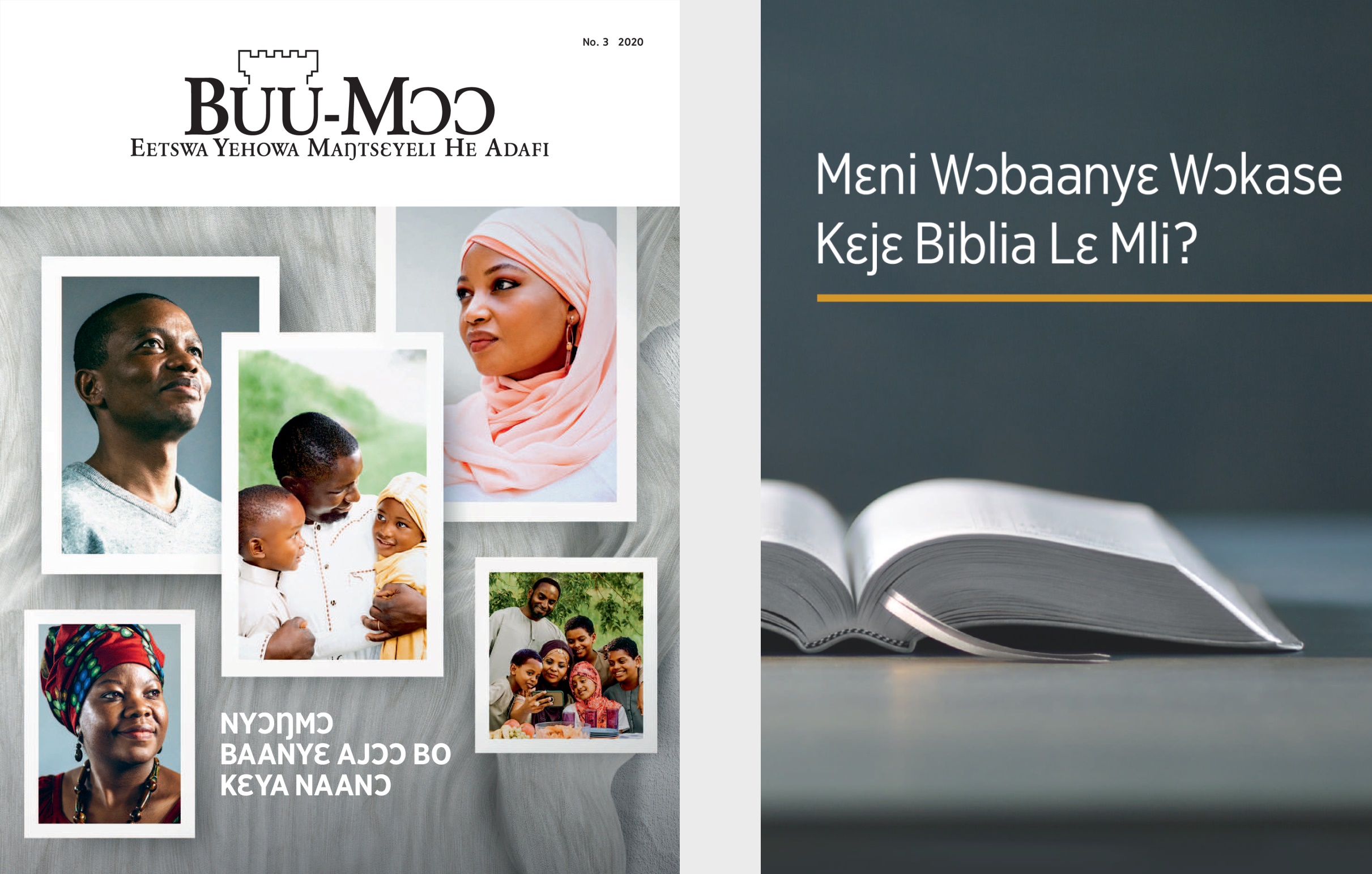 ‘Mɛni Wɔbaanyɛ Wɔkase Kɛjɛ Biblia Lɛ Mli?’ wolo lɛ kɛ ‘Buu-Mɔɔ’ No. 3 2020.