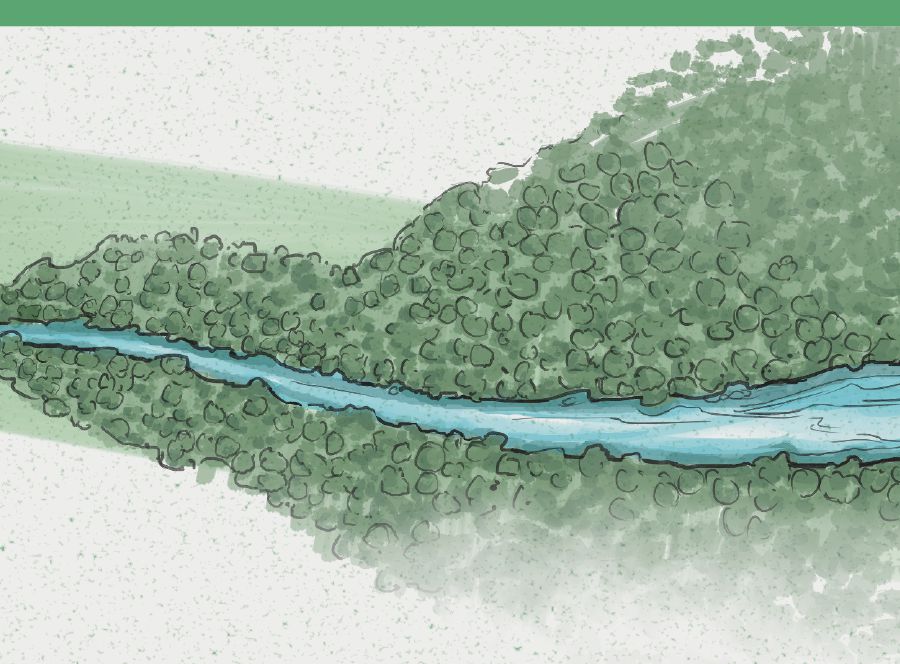A trickle of water becomes a torrent