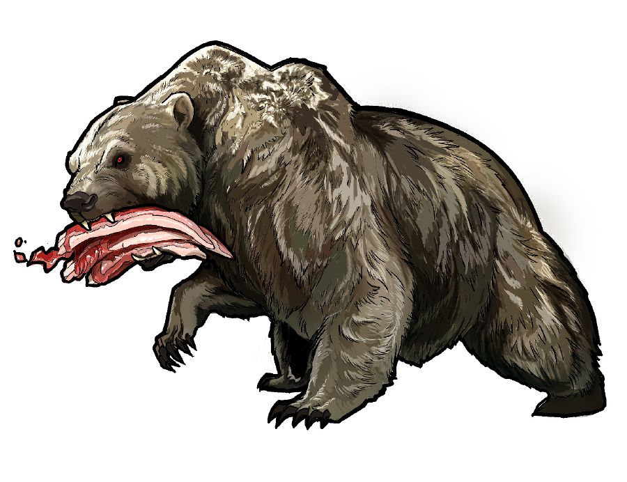 Un animal semellante a un oso leva tres costelas na boca