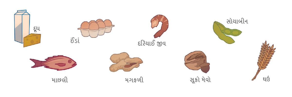 દૂધ, ઈંડાં, દરિયાઈ જીવ, સોયાબીન, માછલી, મગફળી, સૂકો મેવો, અને ઘઉં