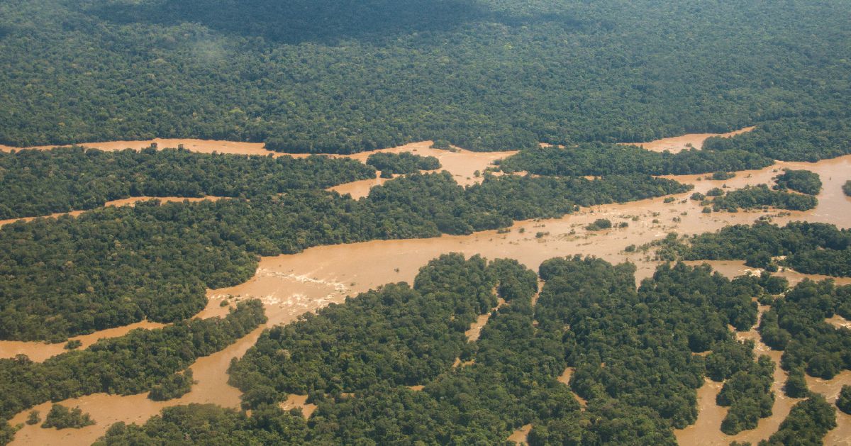 ઊંચાઈએથી જોતા મરોની નદી અને એમેઝોન જંગલો દેખાઈ રહ્યા છે.