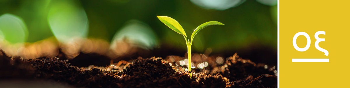 પાઠ ૦૬. જમીનમાંથી છોડનો ફણગો ફૂટી રહ્યો છે અને એના પર તડકો પડે છે.