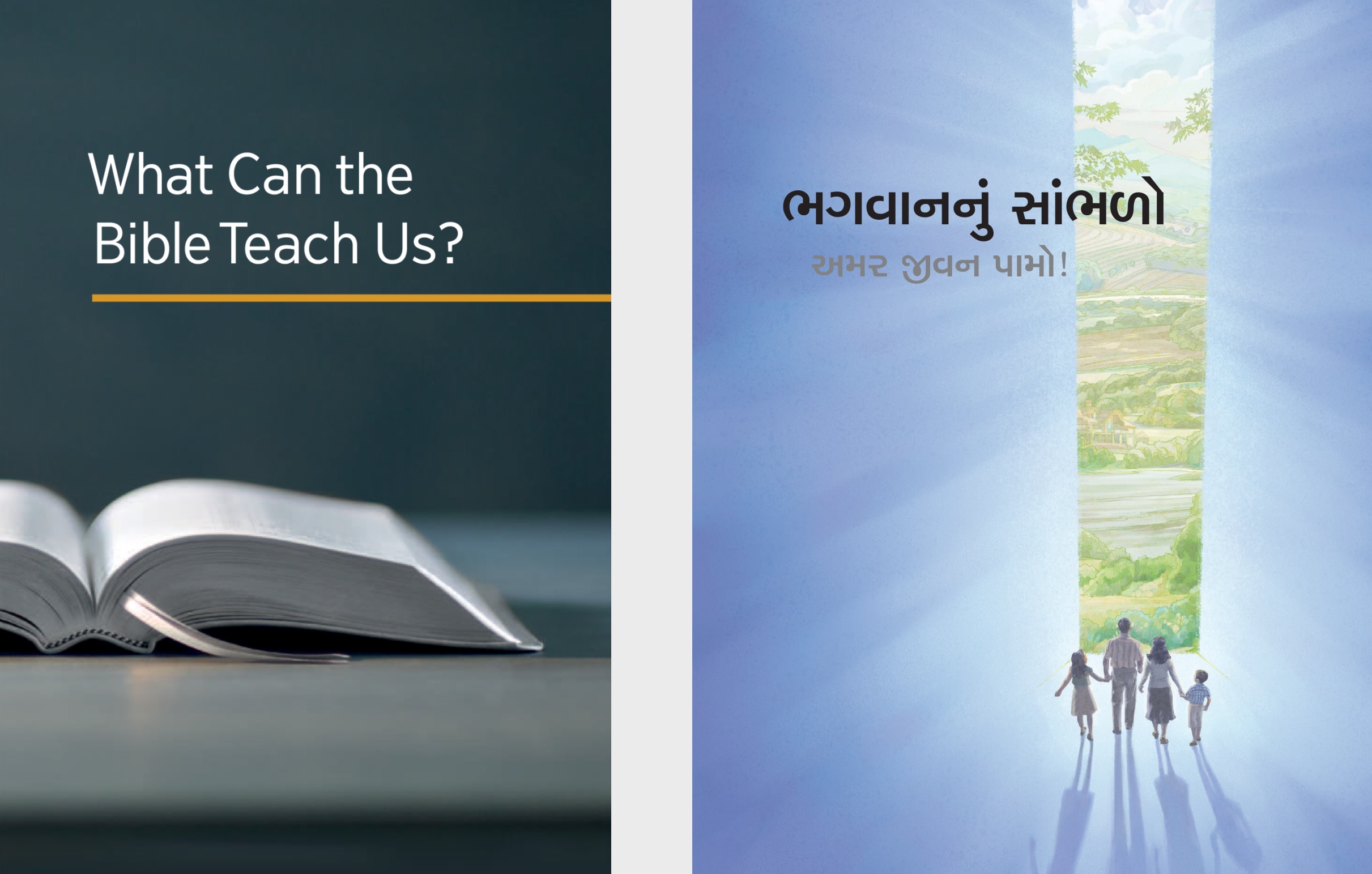 ‘પવિત્ર બાઇબલ શું શીખવે છે?’ પુસ્તક અને ‘ભગવાનનું સાંભળો અમર જીવન પામો!’ પુસ્તિકા