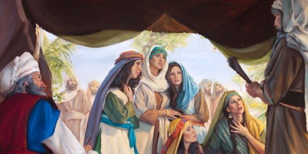 [પાન ૭ પર ચિત્ર]