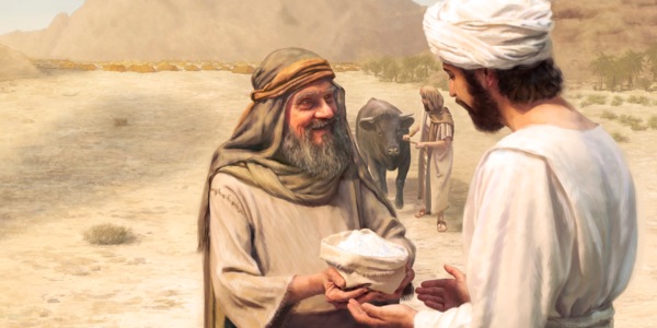 [પાન ૧૨ પર ચિત્ર]