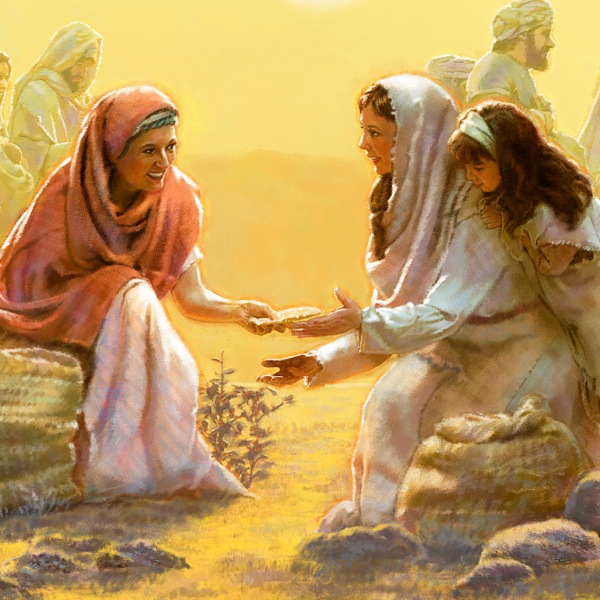 [પાન ૧૩ પર ચિત્ર]