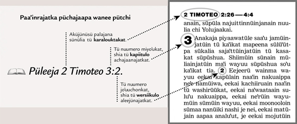 Sukuwaʼipa süchajaaya wanee wersiikulo