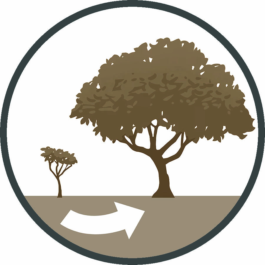 Watta saalii nneerü nakataajaka sünain Tiro soʼutpünaa 13 juya