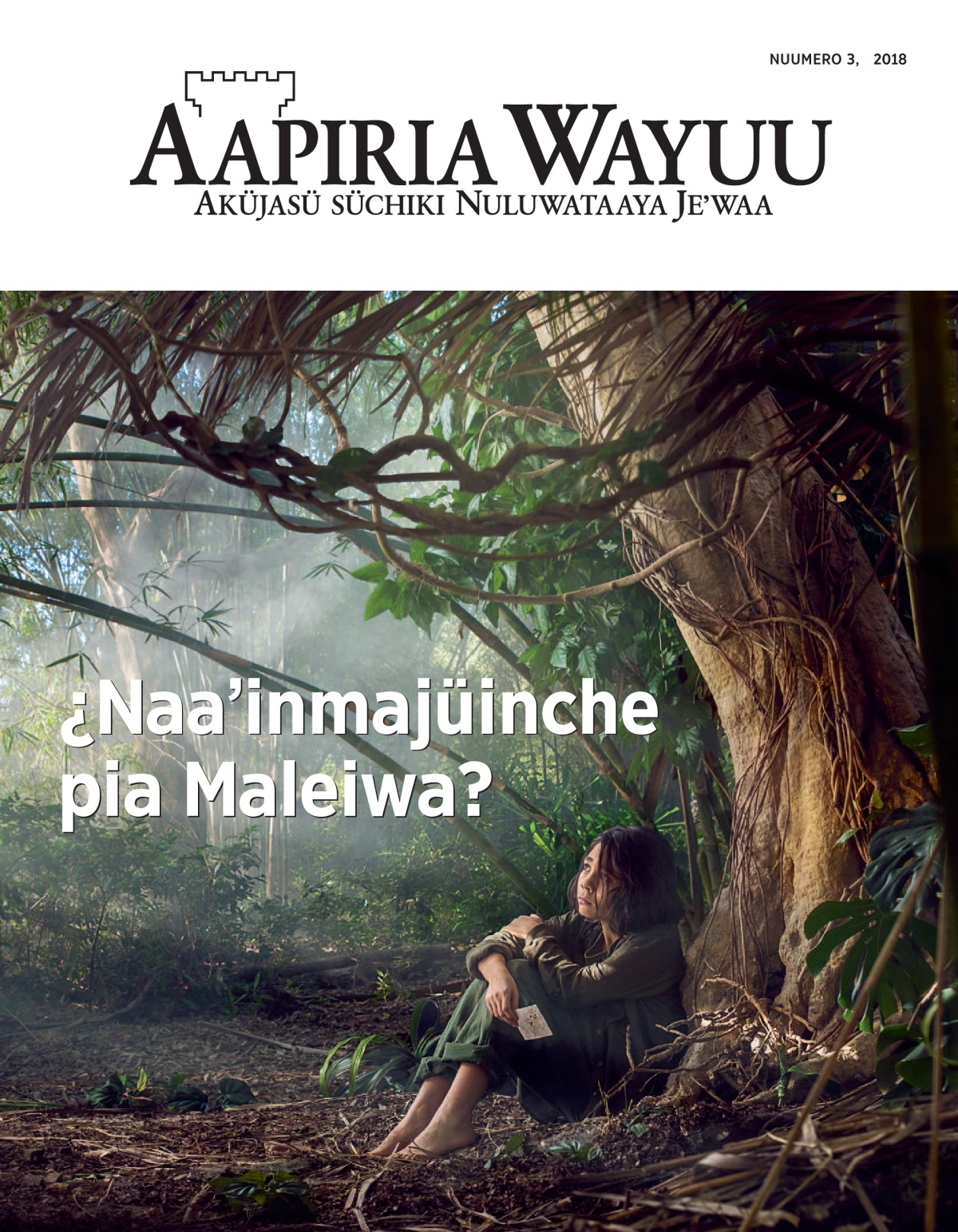 Aapiria Wayuu nuumero 3, 2018.