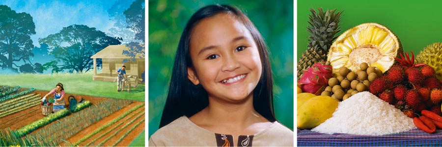 Wanee aʼttiee, wanee jintut kulematüsü, süchon aʼttiee