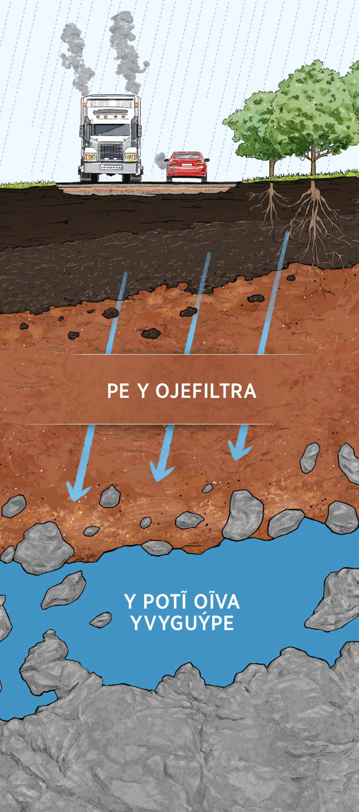 Peteĩ taʼanga ohechaukáva mbaʼéichapa pe yvy ofiltra pe y oñekontamináva. Pe yvy oipyte pe y hoʼáva umi amágui, ha ojefiltra ohóvo oikévo pe yvýre, umi ita saʼíre ha pe ñaiʼũre, ha og̃uahẽvo pe yvyguýpe pe y ipotĩetéma ha ikatúma ojeʼu.