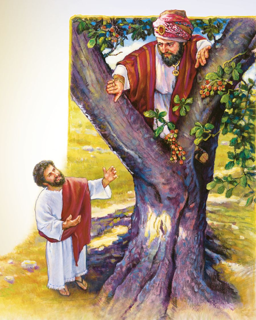 Jesús heʼi Zaquéope oguejy hag̃ua pe yvyramátagui