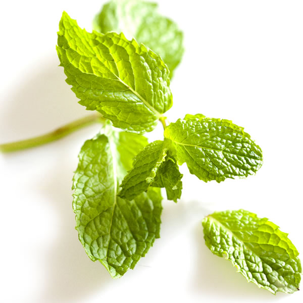 Mentaʼi