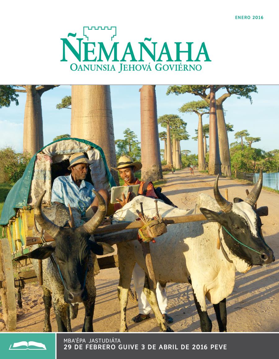 Ñemañaha ojestudiáva ape, enero 2016