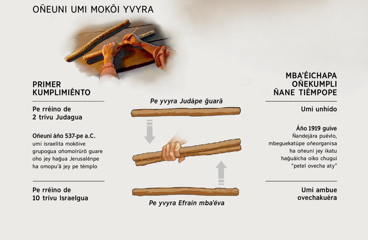 Umi mokõi yvyra uñeuni. Kumplimiénto yma guare ha koʼag̃agua