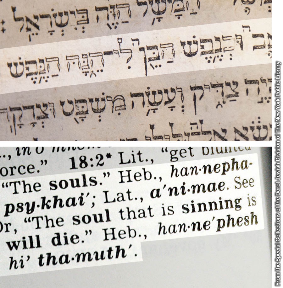 Ezequiel 18:4 pe Biblia hebrea ojapo vaʼekuépe Hutter, ha pe nóta oĩva Traducción del Nuevo Mundo de las Santas Escrituras con referénciaspe