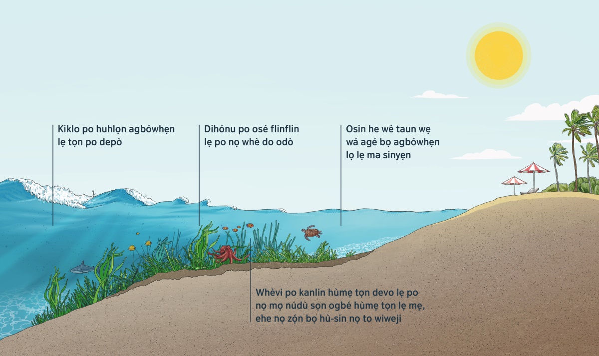 Yẹdide de he do lehe agbówhẹn lẹ to sisẹpọ agé do hia. Yè to ohù-sabọ, ogbé hùmẹ tọn po kanlin hùmẹ tọn lẹ po mọ. Dile agbówhẹn lẹ to sisẹpọ agé, ogbé hùmẹ tọn lẹ nọ de kiklo po huhlọn agbówhẹn lọ lẹ tọn po pò bosọ nọ gbọ́n dihónu po onú mọnkọ devo lẹ po sẹ̀ sọn osin lọ mẹ. Whèvi po kanlin hùmẹ tọn devo lẹ po nọ mọ núdù sọn ogbé hùmẹ tọn lẹ mẹ. Osin he wé wẹ wá agé bọ agbówhẹn lọ lẹ ma sinyẹn gbau.