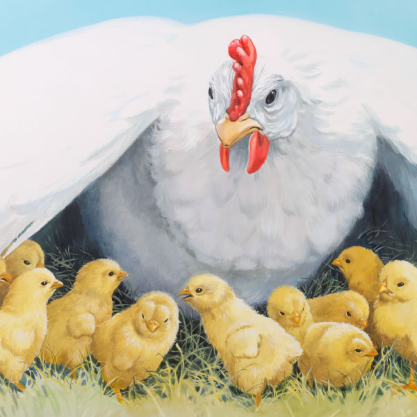 Koklosi de bẹ ovi etọn lẹ pli do awà etọn lẹ glọ