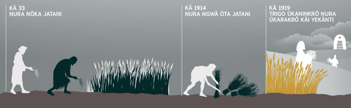 Ñongwane nura nökani, ngwä ötani aune ngwä ükaninkrö ye mikata gare