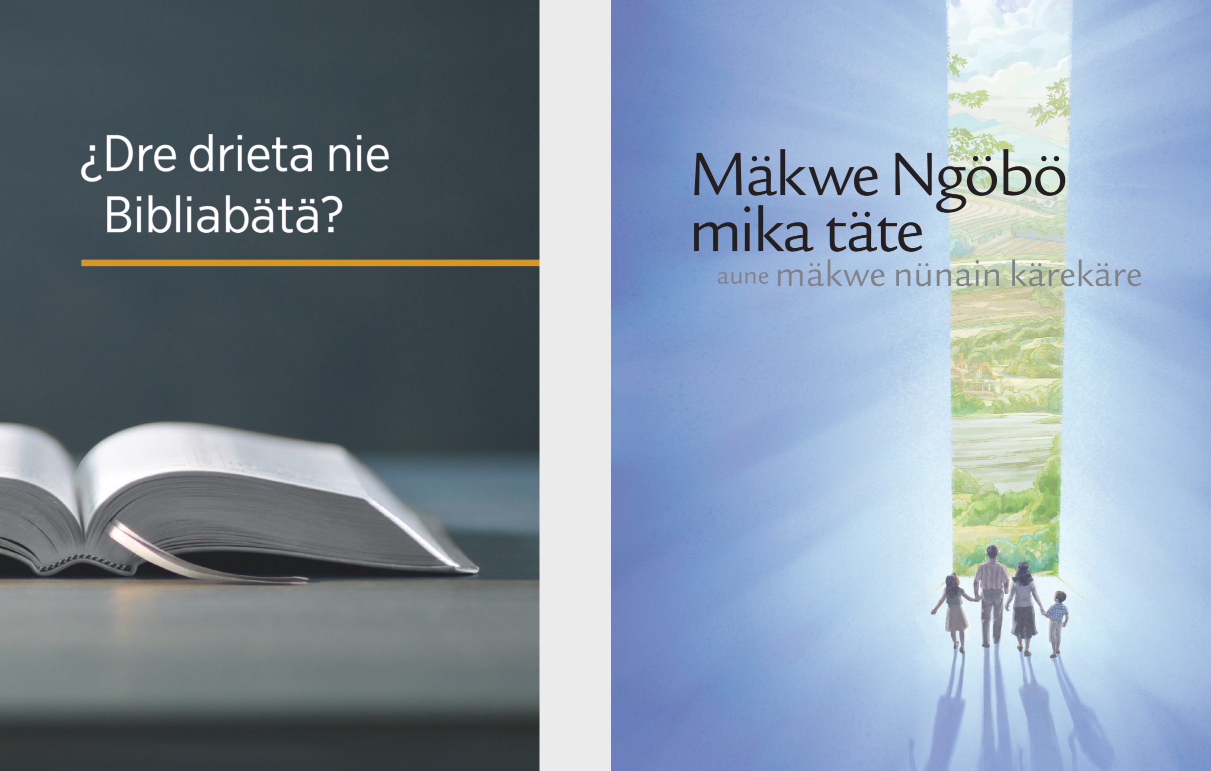 Tärä “¿Dre drieta nie Bibliabätä?” aune täräkwata “Mäkwe Ngöbö mika täte aune mäkwe nünain kärekäre”