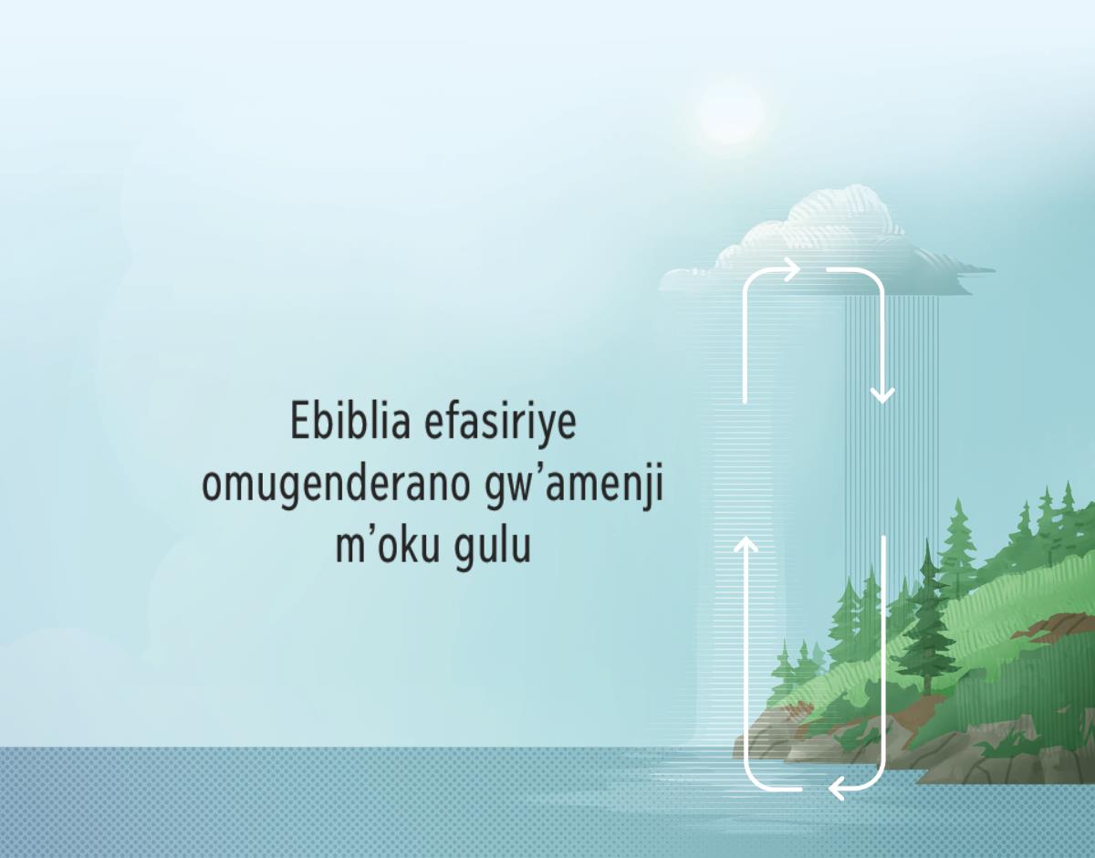 Ebiblia efasiriye omugenderano gw’amenji m’oku gulu. Emikuki eli yazunguluka egana ekulyo nka mikuki y’esa, eyerekene gurhe amenji manayinja mazunguluka omu chalege n’oku gulu.