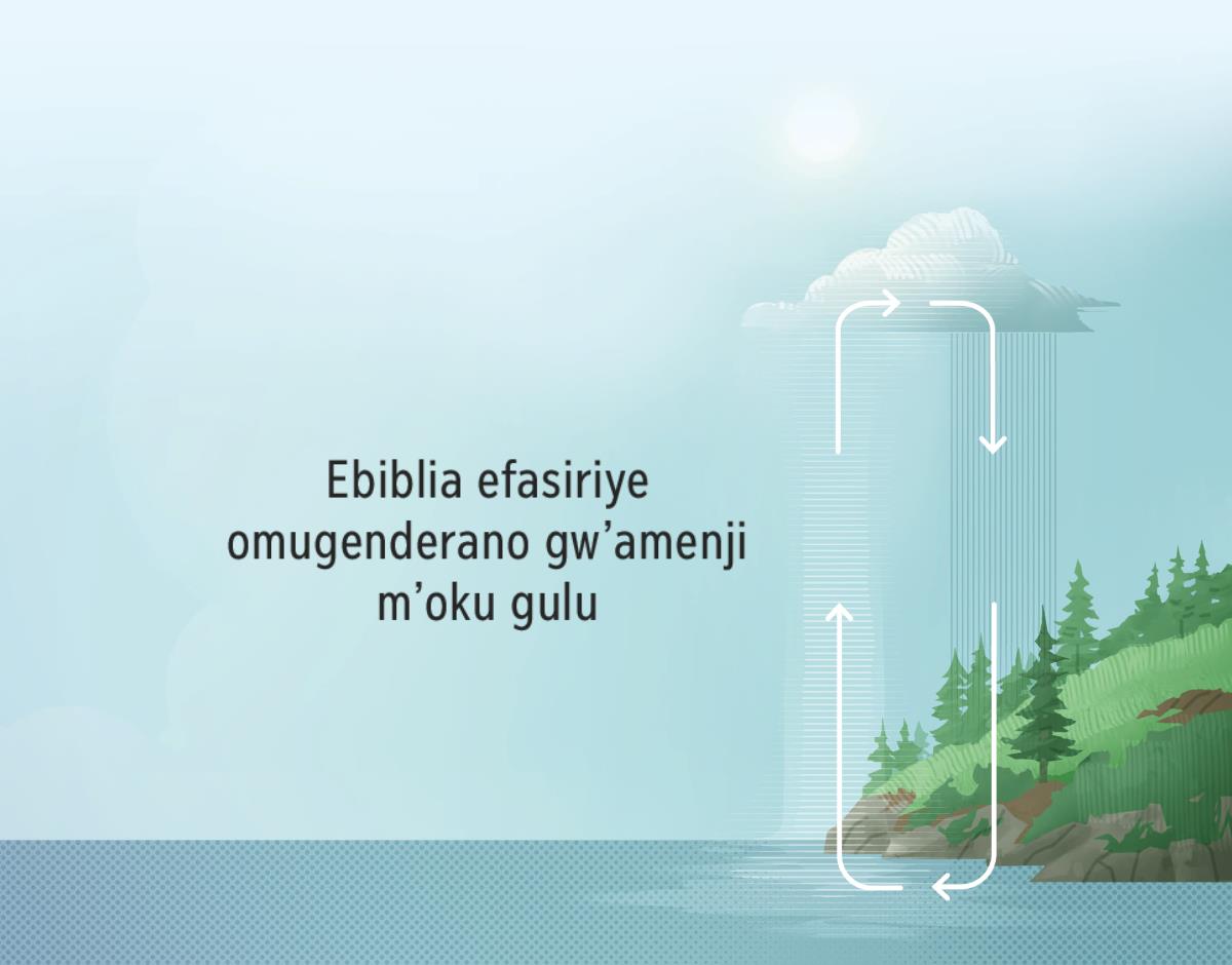 Ebiblia efasiriye omugenderano gw’amenji m’oku gulu. Emikuki eli yazunguluka egana ekulyo nka mikuki y’esa, eyerekene gurhe amenji manayinja mazunguluka omu chalege n’oku gulu.