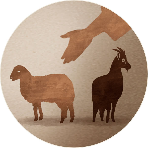 הפרדת הכבשים מן העזים