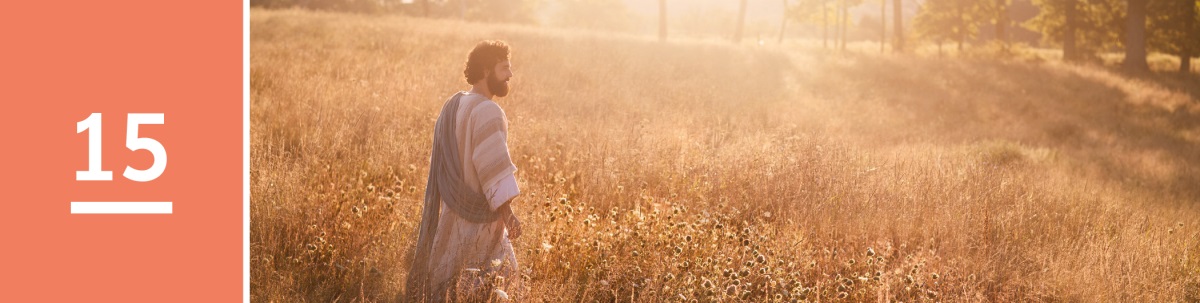 שיעור 15.‏ ישוע הולך בתוך שדה שיבולים.‏
