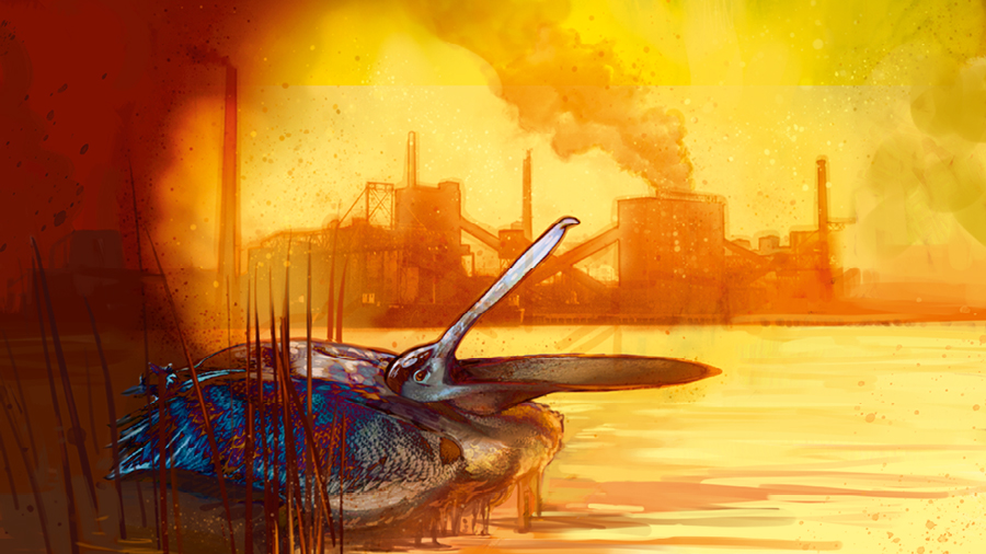מפעלים מזהמים את הסביבה.‏ ציפור שמכוסה בשמן נמצאת במצוקה.‏