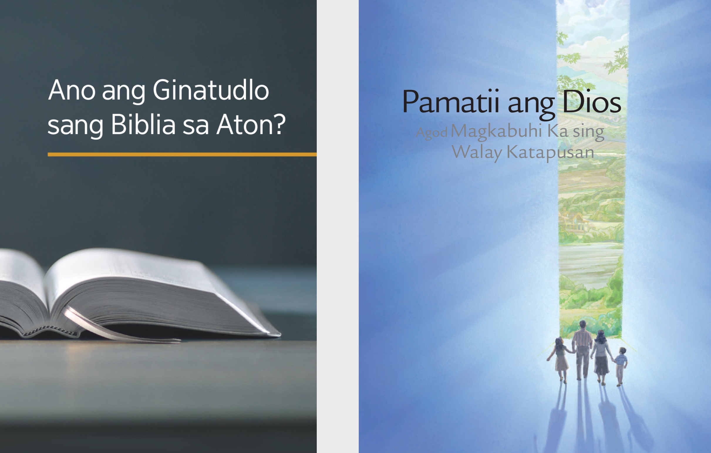 Ang libro nga ‘Ano ang Gintudlo sang Biblia sa Aton?’ kag ang brosyur nga ‘Pamatii ang Dios Agod Magkabuhi Ka sing Walay Katapusan.’
