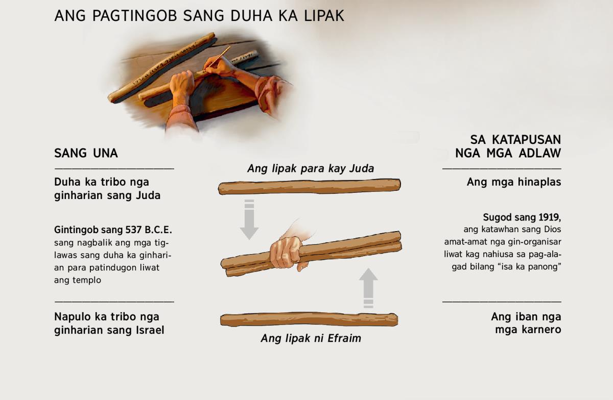 Gintingob ang duha ka lipak—sang una kag sa katapusan nga mga adlaw