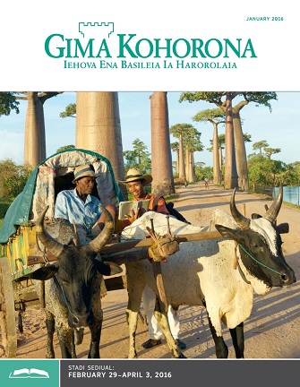 Gima Kohorona Stadi Gauna, January 15, 2016