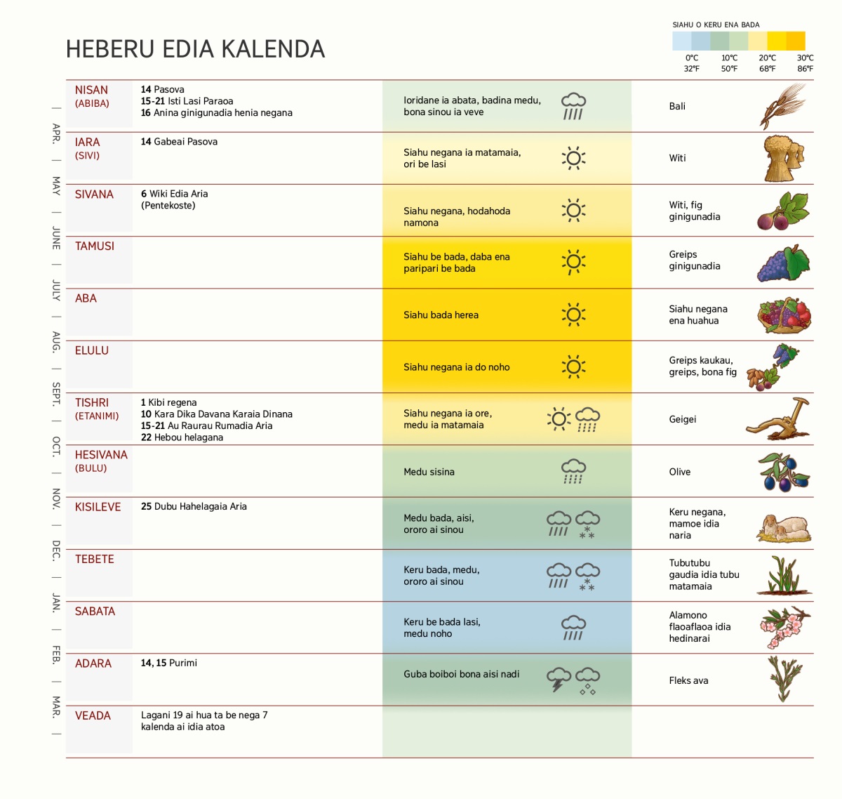 Heberu kalenda ena chart ai idia noho gaudia, hua, aria idauidau, weda bona tubutubu gaudia.