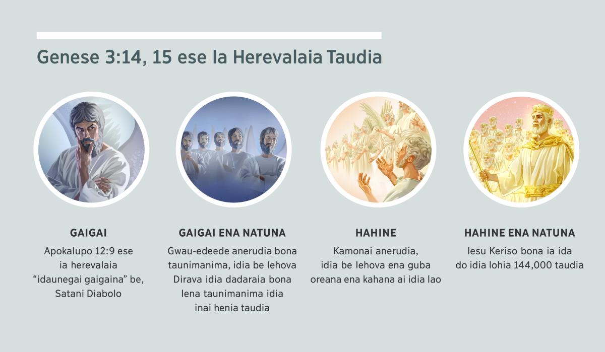 Laulau: “Genese 3:14, 15 ese Ia Herevalaia Taudia.” 1. Gaigai: Satani be aneru ta. 2. Gaigai natuna: Gwau-edeede anerudia. 3. Hahine: Kamonai anerudia. 4. Hahine natuna: Iesu Keriso bona ia ida do idia lohia horoa taudia. Paragraf 4, 5, 7, bona 8 ese unai gaudia ia herevalaia lou.