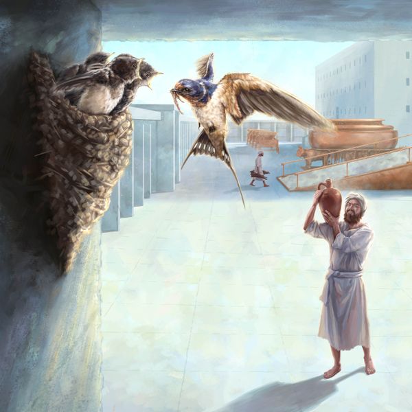 Kórah egyik fia elgondolkodva néz egy fecskefészket a templom udvarában.