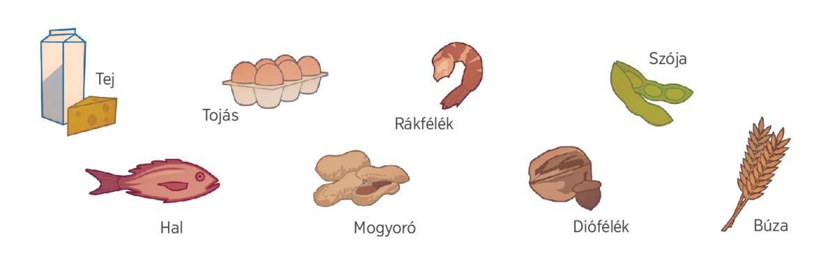 Tej, tojás, rákfélék, szója, hal, mogyoró, diófélék és búza