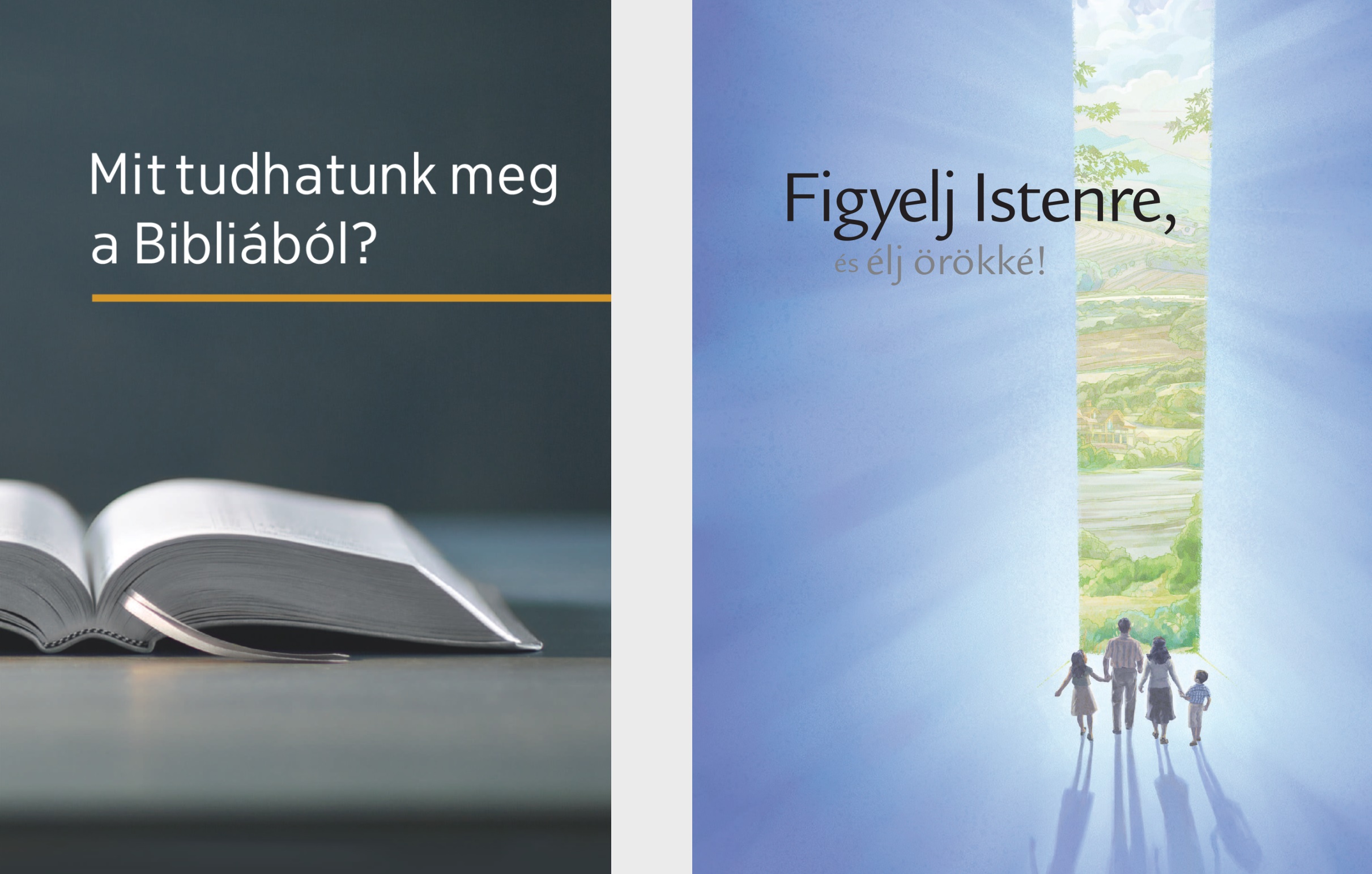 A „Mit tudhatunk meg a Bibliából?” című könyv és a „Figyelj Istenre, és élj örökké!” című füzet.